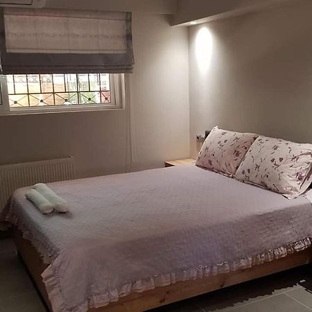 Lefkaditika Luxury Apartment بريفيزا المظهر الخارجي الصورة
