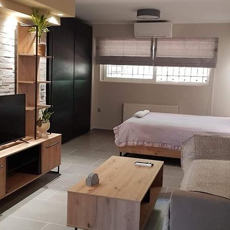 Lefkaditika Luxury Apartment بريفيزا المظهر الخارجي الصورة