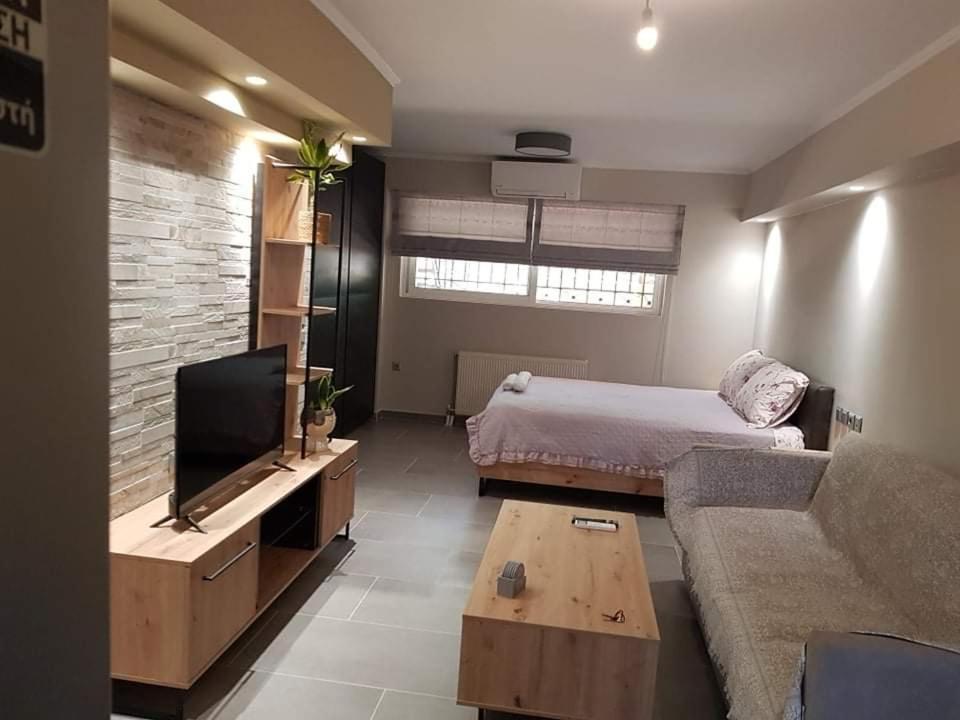 Lefkaditika Luxury Apartment بريفيزا المظهر الخارجي الصورة