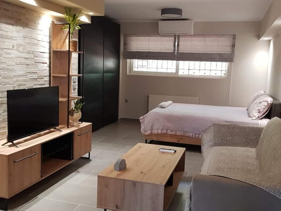Lefkaditika Luxury Apartment بريفيزا المظهر الخارجي الصورة